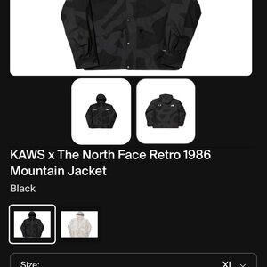 KAWS x The North Face Retro 1986 Mountain Jacket